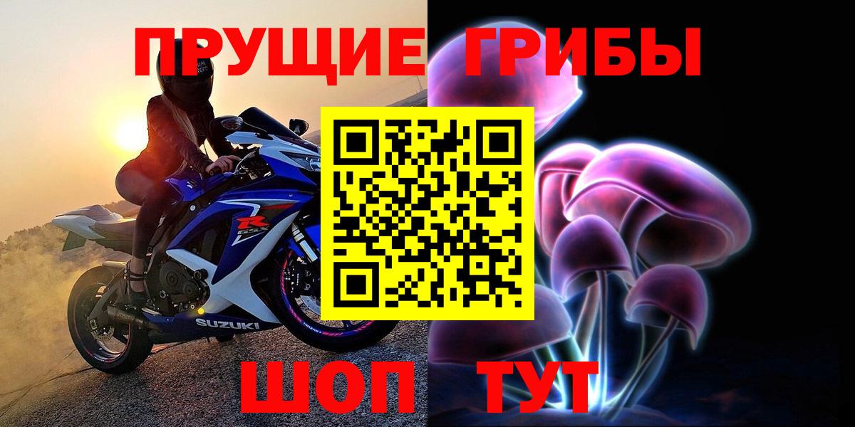 Сегежа  Галлюциногенные грибы Cubensis  Вход с VPN 