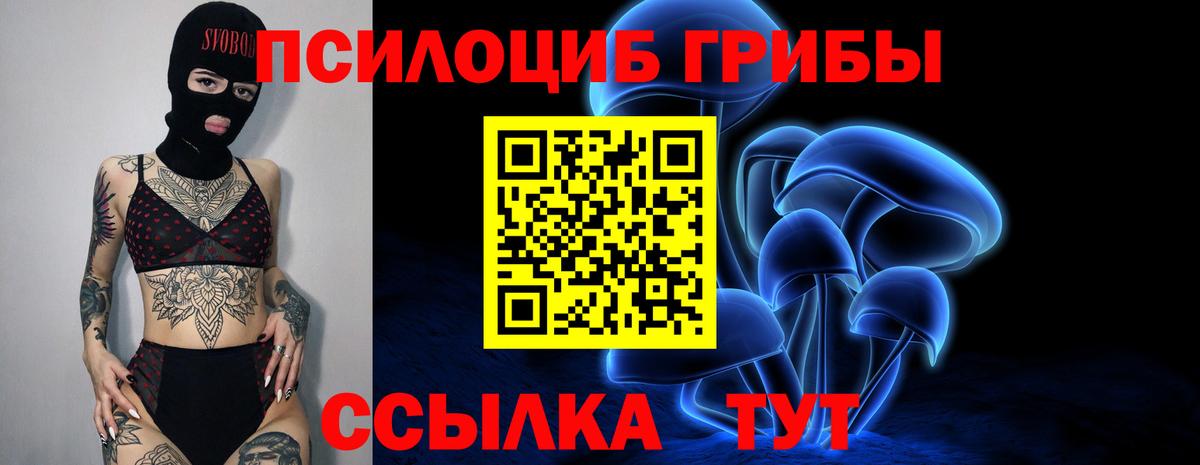 Псилоцибиновые грибы прущие грибы Сегежа